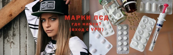 индика Алексин