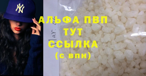 индика Алексин