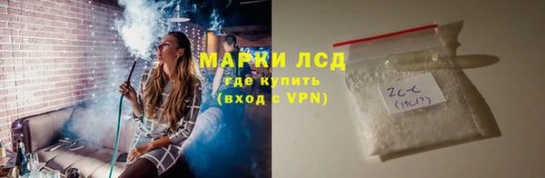 индика Алексин