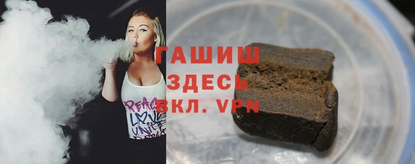 индика Алексин