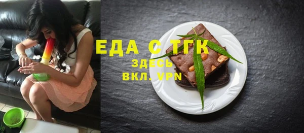 индика Алексин
