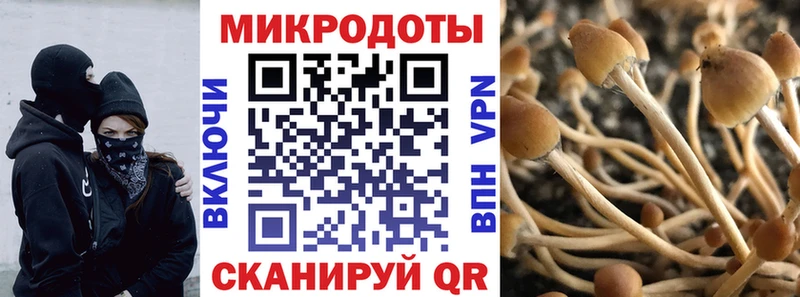 Галлюциногенные грибы мицелий  Фролово 